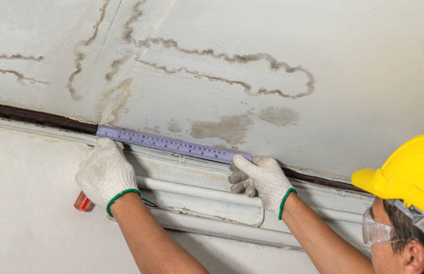 Reliable Mold Remediation contractor in Vale, OR by Water Damage Irwin